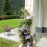 Haus Larcher * Нойштифт-им-Штубайталь