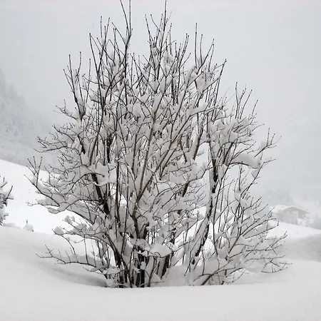 Haus Larcher Daire Rehoboth Beach