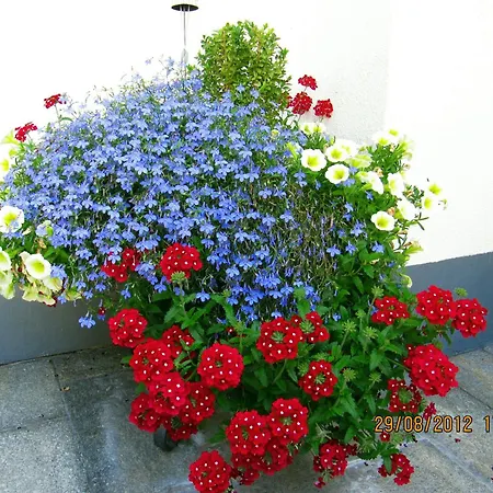 Haus Larcher * Rehoboth Beach