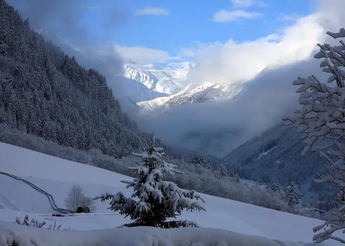 Haus Larcher Апартаменты Нойштифт-им-Штубайталь