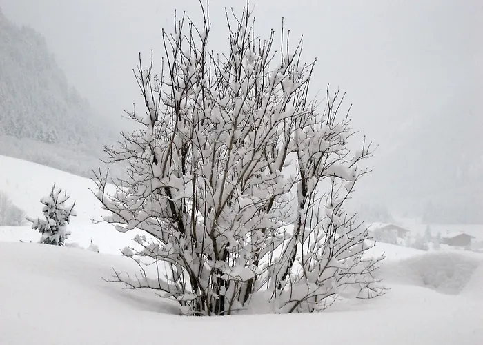 Haus Larcher 아파트 노이스티프트임스튀바이탈