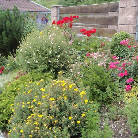 Haus Larcher Apartment *